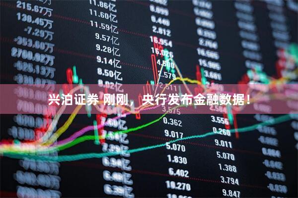 兴泊证券 刚刚，央行发布金融数据！