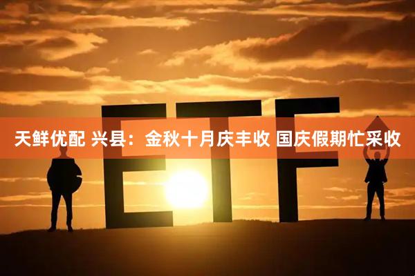 天鲜优配 兴县：金秋十月庆丰收 国庆假期忙采收